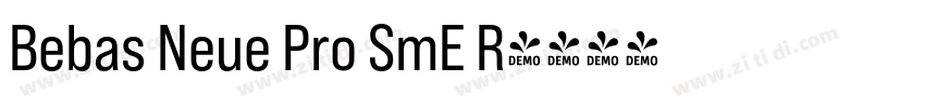 Bebas Neue Pro SmE R字体转换